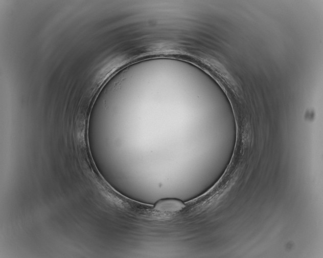 X0000097291273200802291742