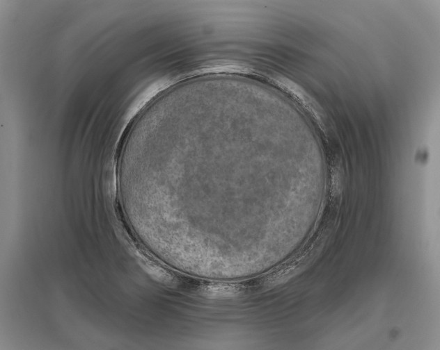 X0000097291274200802291742