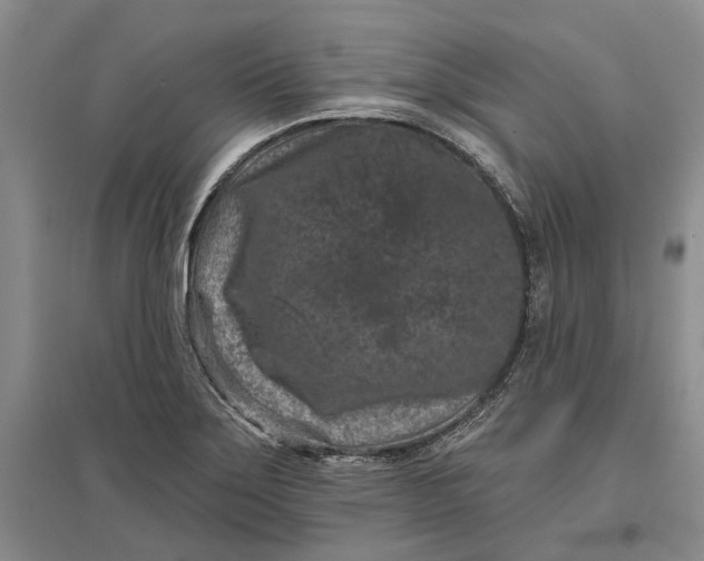 X0000097291275200802291742