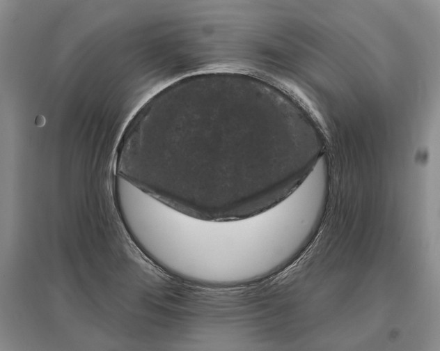 X0000097291276200802291742