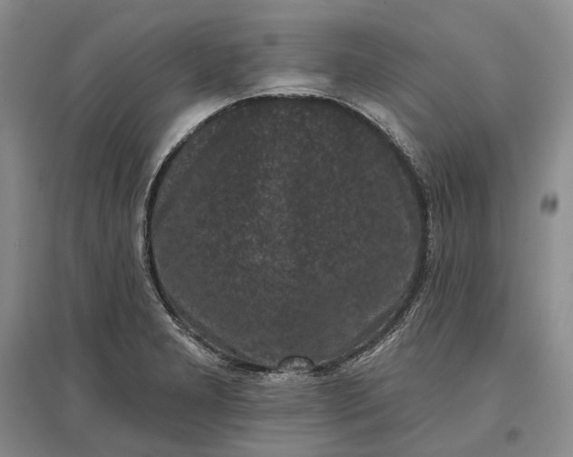 X0000097291277200802291742