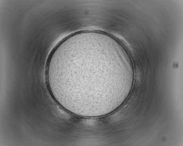 X0000097291278200802291742