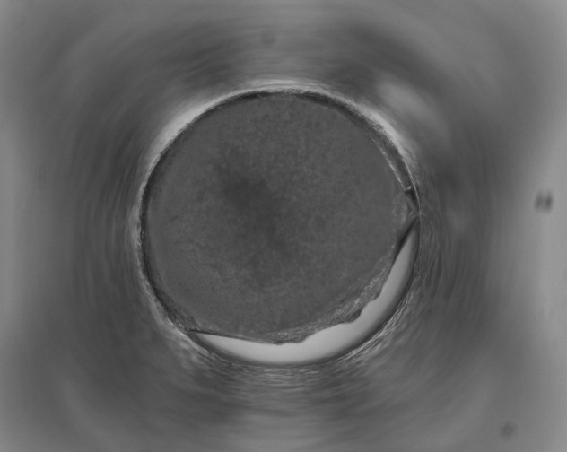X0000097291279200802291742