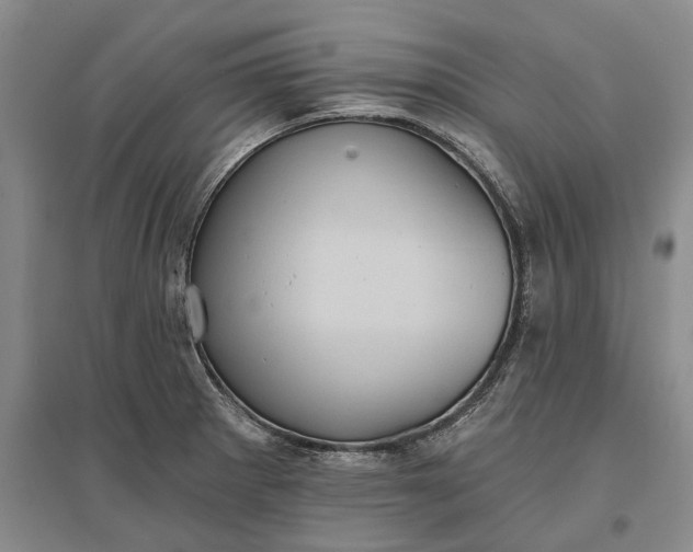 X0000097291281200802291742