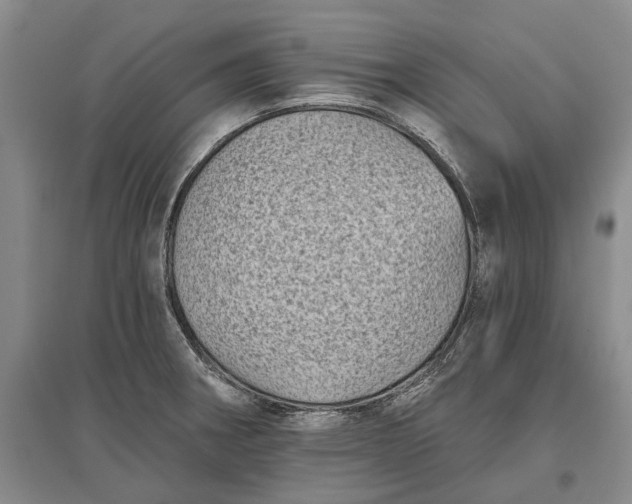 X0000097291282200802291742