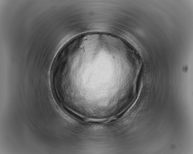 X0000097291283200802291742
