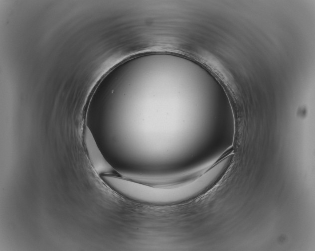 X0000097291284200802291741