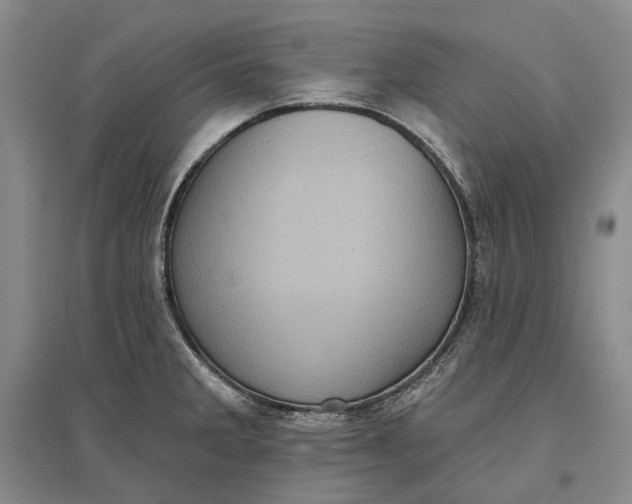 X0000097291285200802291741