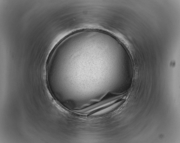 X0000097291287200802291741