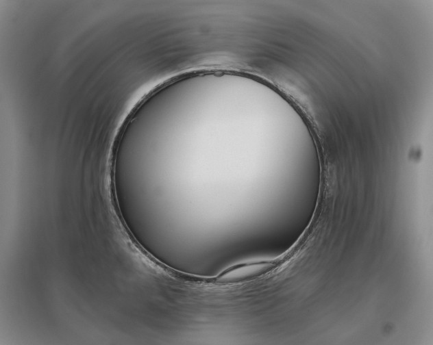 X0000097291288200802291741