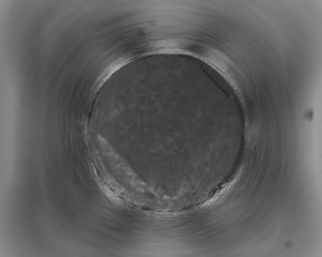 X0000097291289200802291741