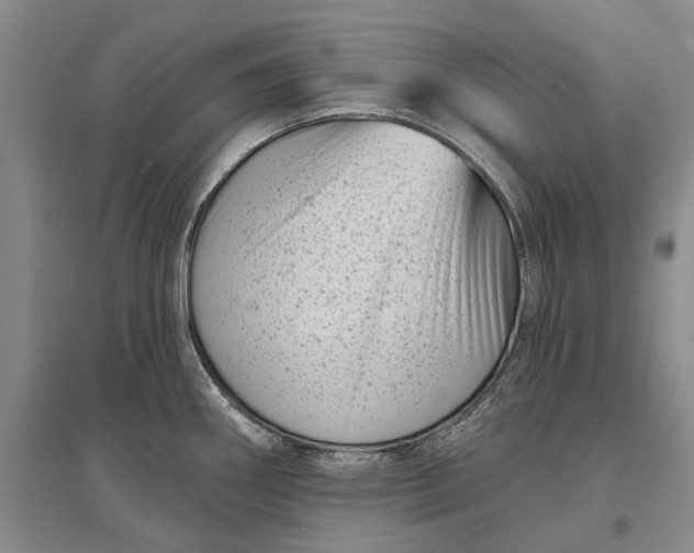 X0000097291290200802291741