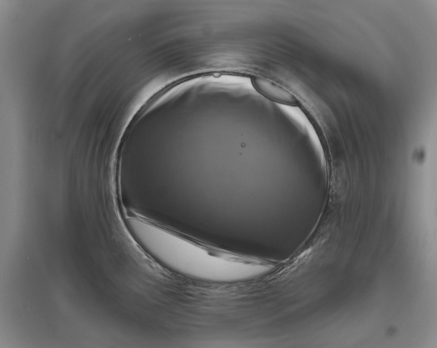 X0000097291291200802291741
