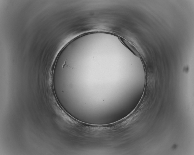 X0000097291292200802291741