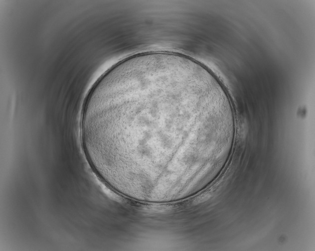 X0000097291294200802291741