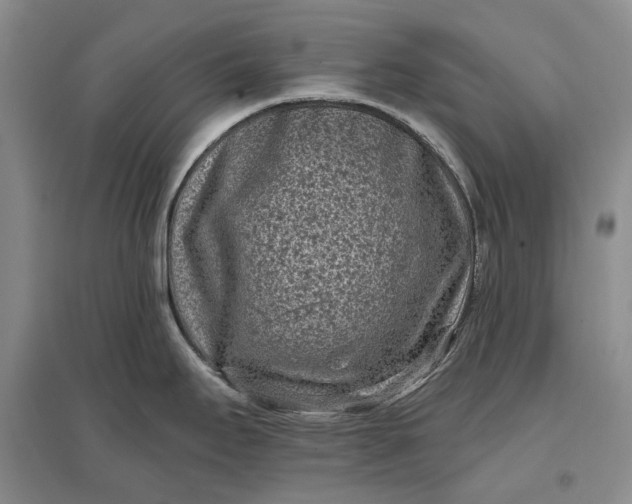X0000097291295200802291741