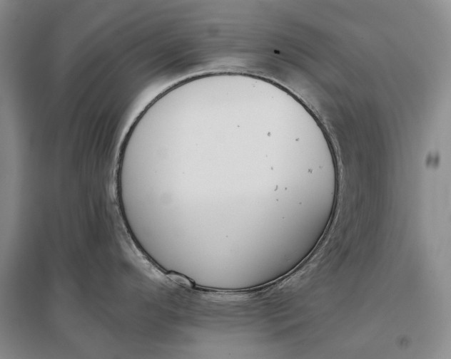 X0000097291296200802291741