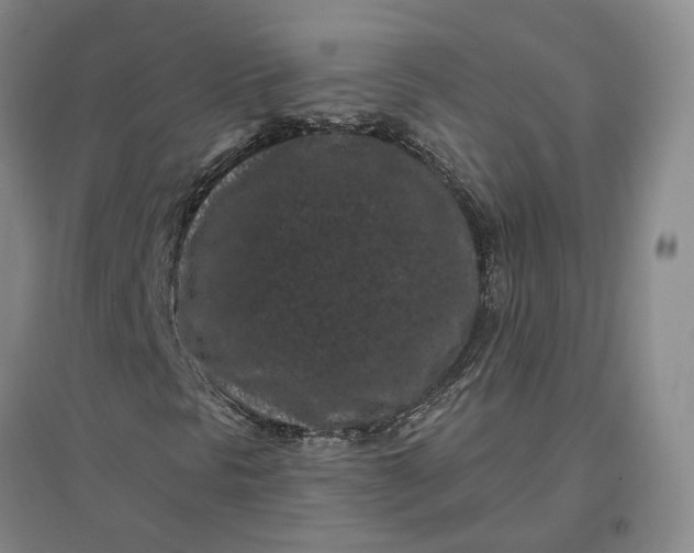 X0000097291297200802291740