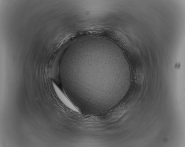 X0000097291298200802291741