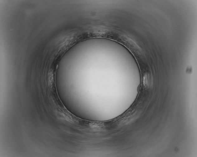 X0000097291299200802291741