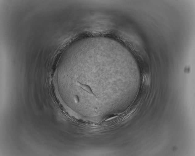 X0000097291300200802291741