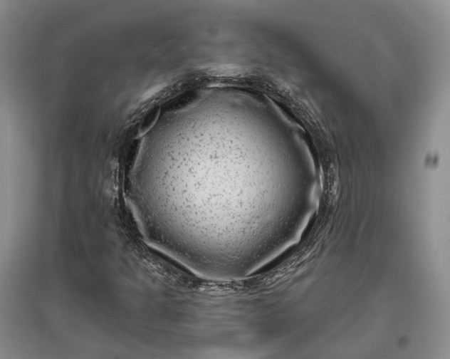 X0000097291301200802291741