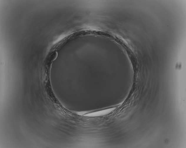 X0000097291303200802291741