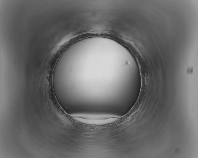 X0000097291304200802291741
