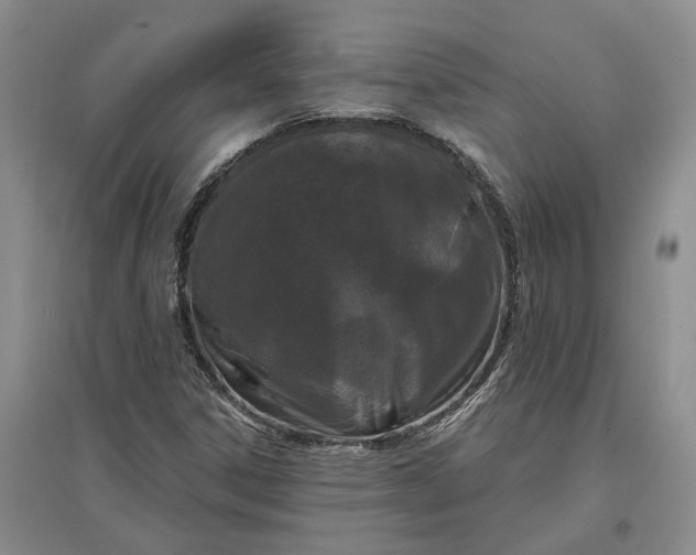 X0000097291306200802291741