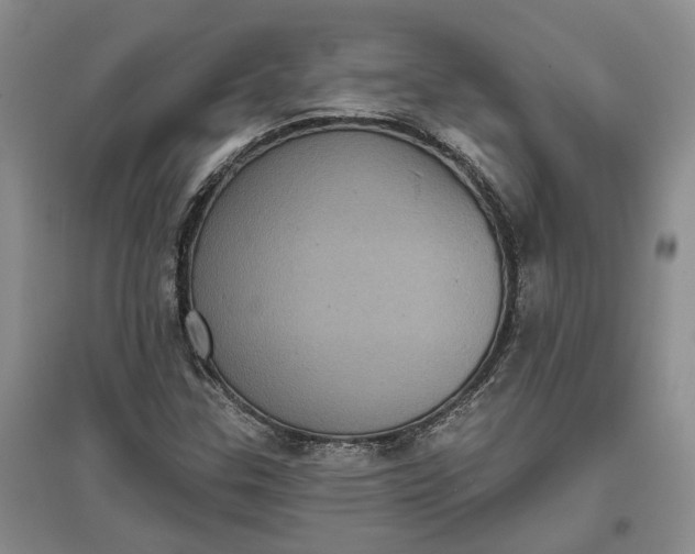 X0000097291307200802291741