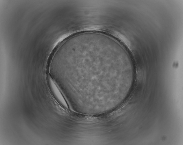 X0000097291308200802291741