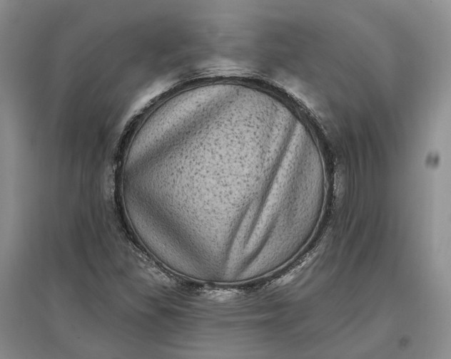 X0000097291309200802291741