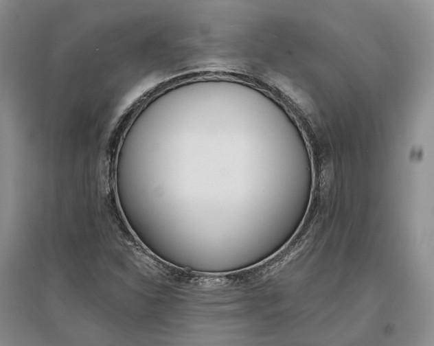 X0000097291310200802291741