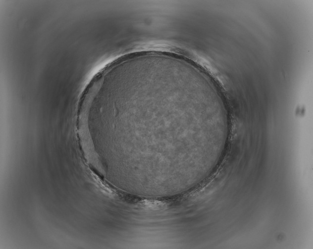 X0000097291312200802291741
