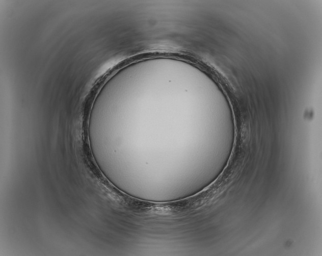 X0000097291315200802291741