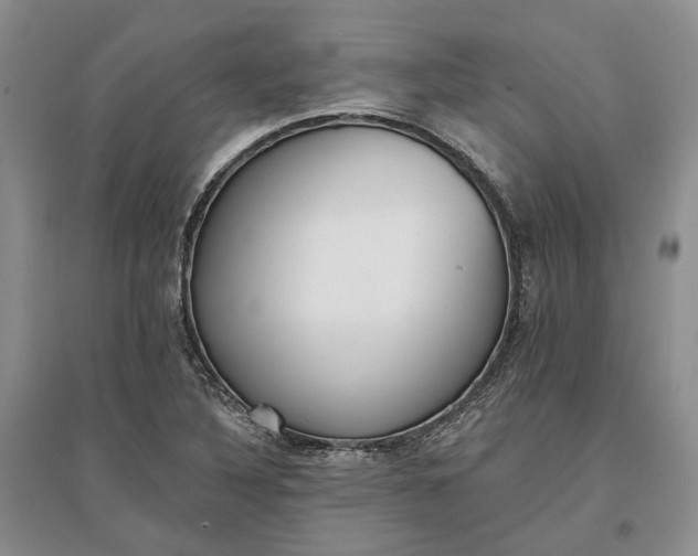 X0000097291316200802291741