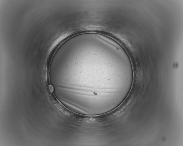 X0000097291317200802291741