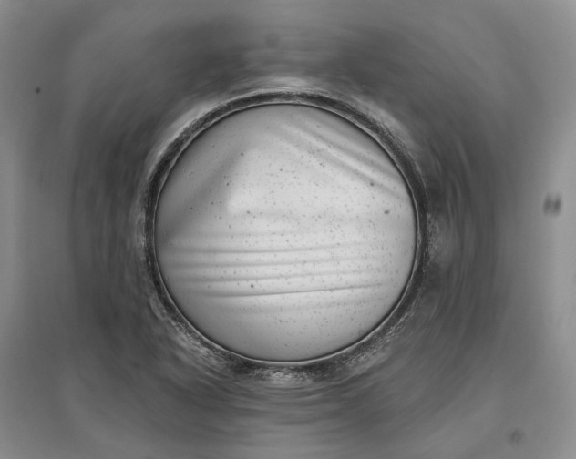 X0000097291318200802291741