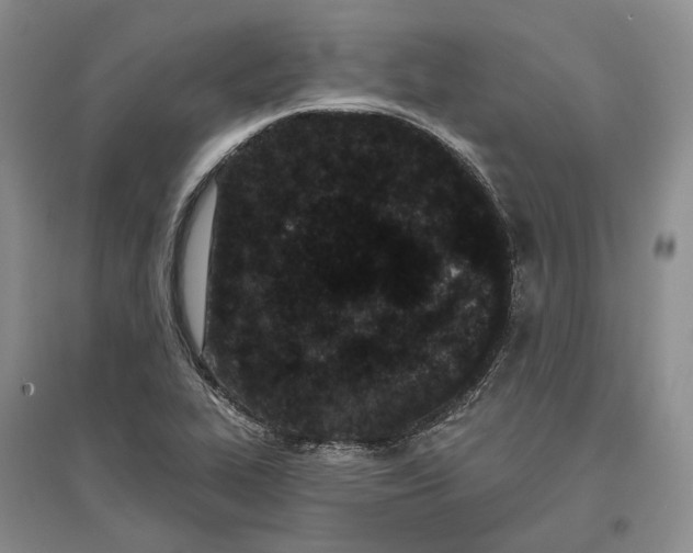 X0000097291319200802291741