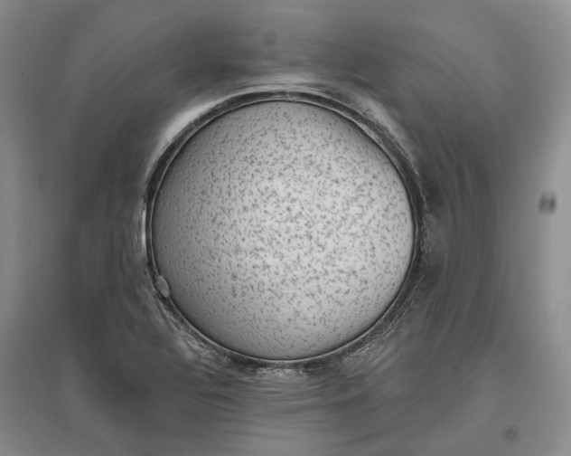 X0000097291320200802291741