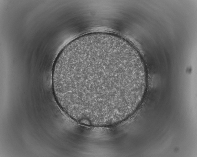 X0000097291322200802291741