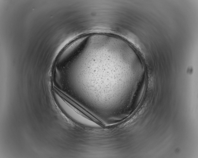 X0000097291325200802291741