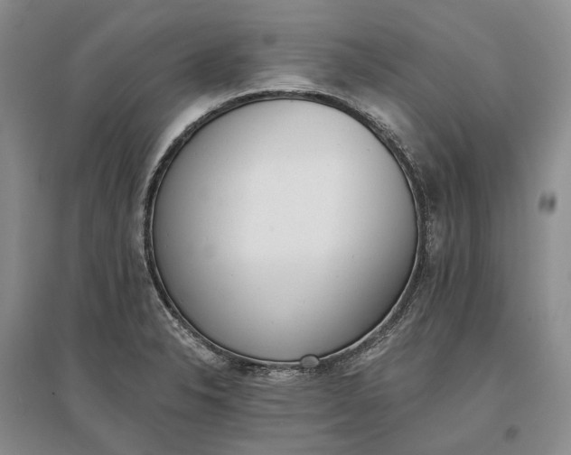 X0000097291326200802291741