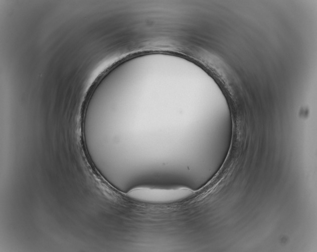 X0000097291328200802291741
