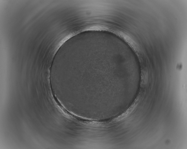 X0000097291329200802291741