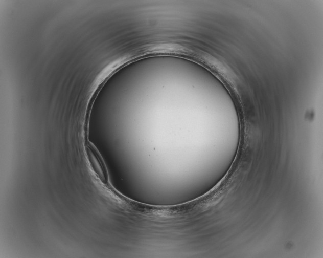 X0000097291330200802291741
