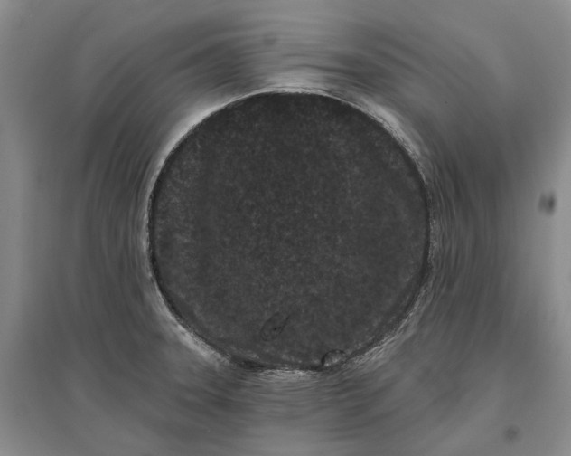 X0000097291331200802291741