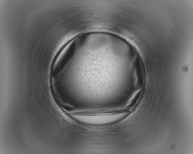 X0000097291333200802291741