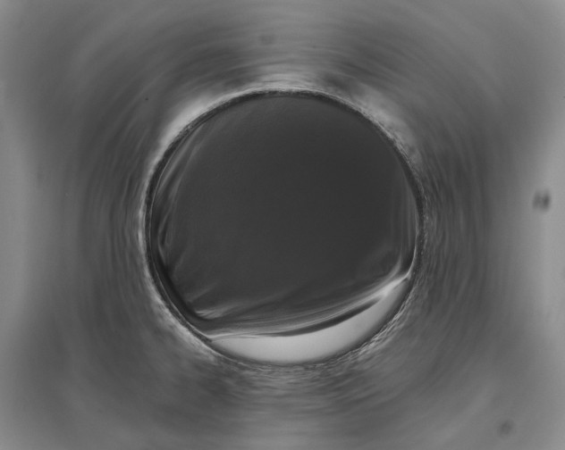X0000097291334200802291741
