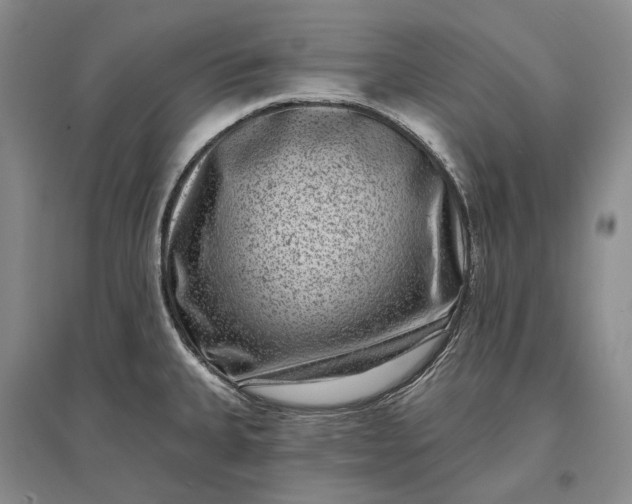 X0000097291335200802291741
